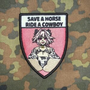 Ride a Cowboy